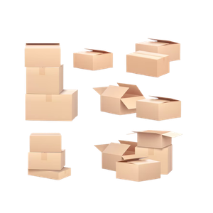 Duplex Carton Box - India Packaging Mumbai