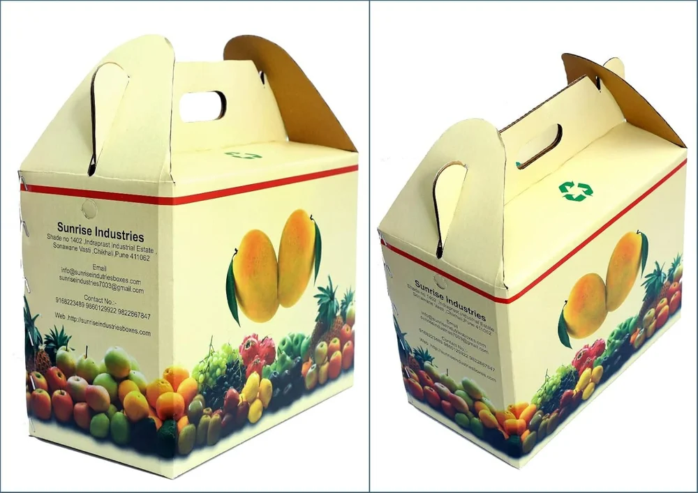 Mango Packaging Box - India packaging Mumbai