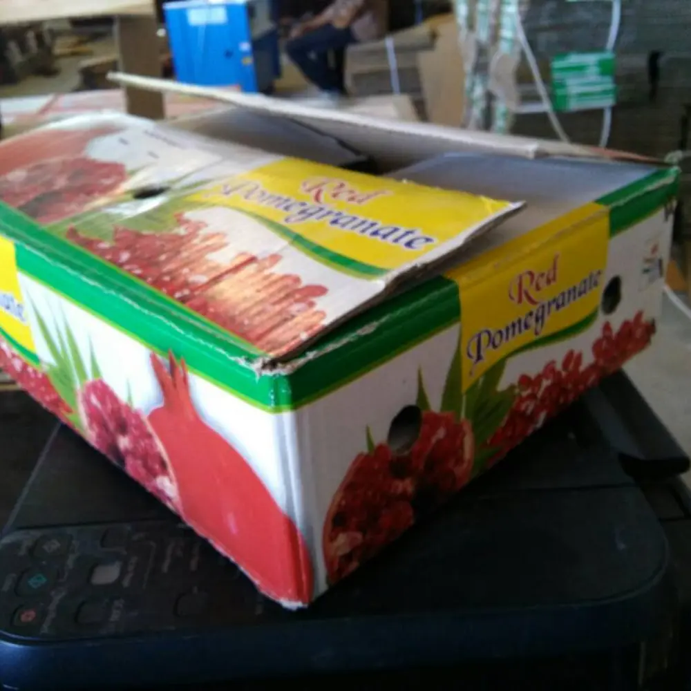 Pomegranate Corrugated Box - India packaging Mumbai