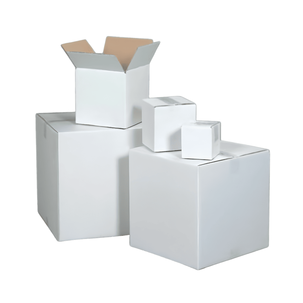 dulpex carton box (2)
