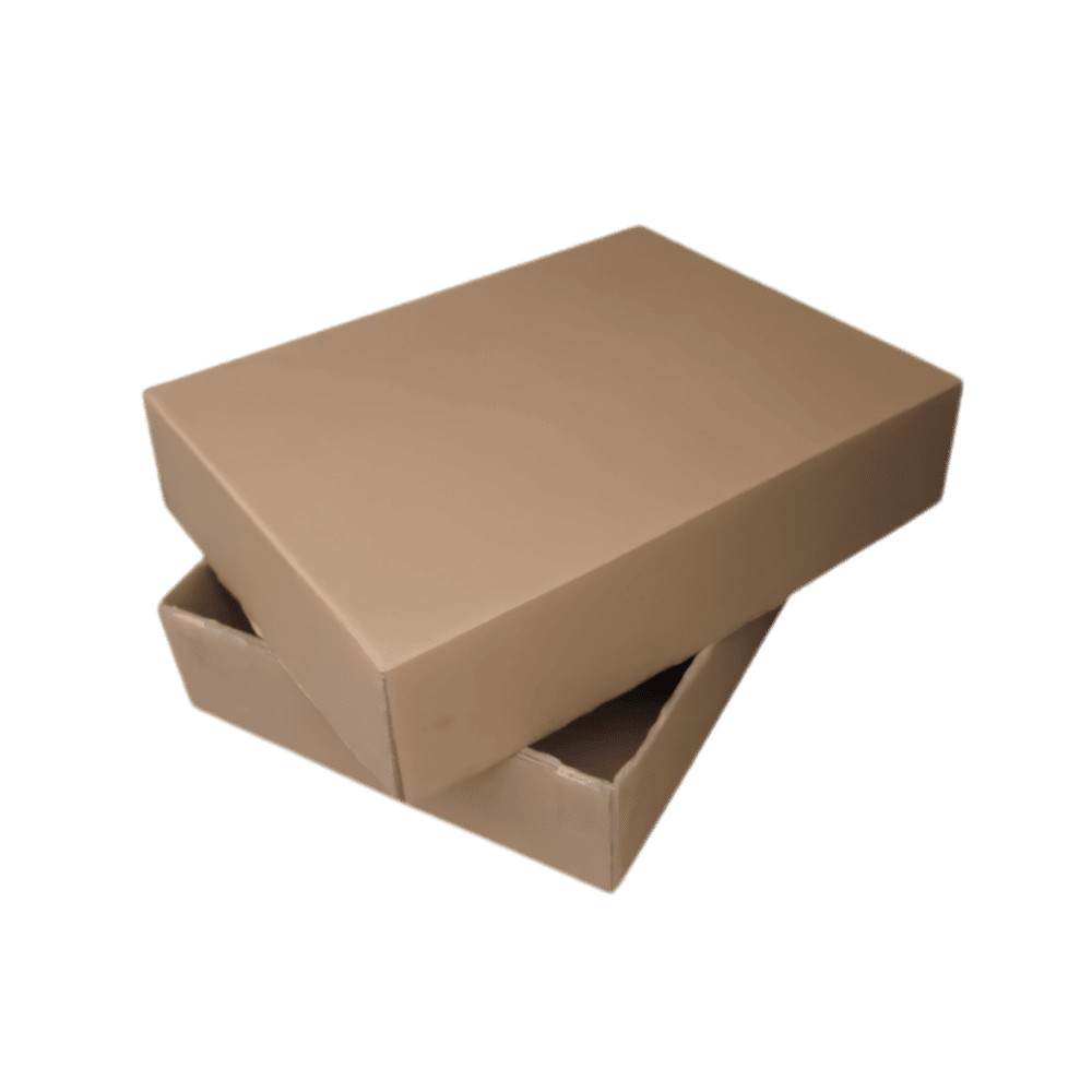 dulpex carton box (3)